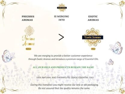 Exotic Aromas Lavender Essential Oil - Image 4