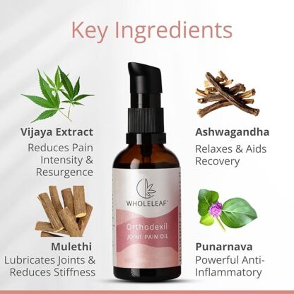 WholeLeaf Orthodexil Joint Pain Oil - Image 3