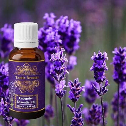Exotic Aromas Lavender Essential Oil - Image 2